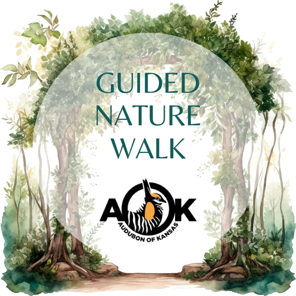Guided Nature Walk: Audubon of Kansas