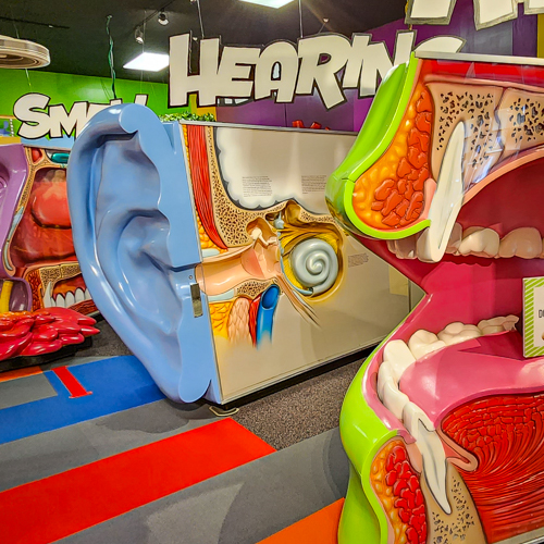 Kansas Learning Center for Health